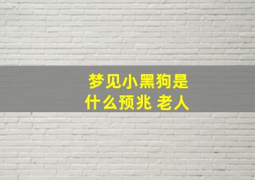 梦见小黑狗是什么预兆 老人